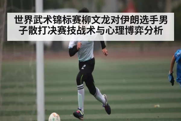 世界武术锦标赛柳文龙对伊朗选手男子散打决赛技战术与心理博弈分析